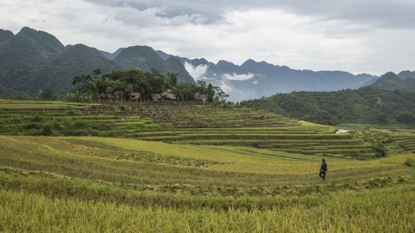 Circuits Vietnam